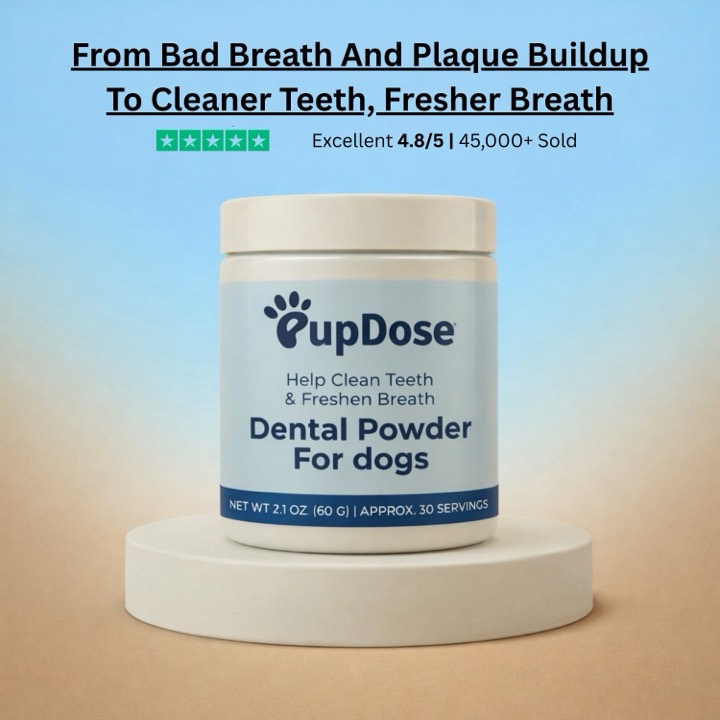 Dental Powder